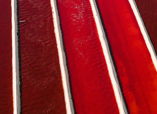 Astaxanthin: The Athlete's Secret Weapon